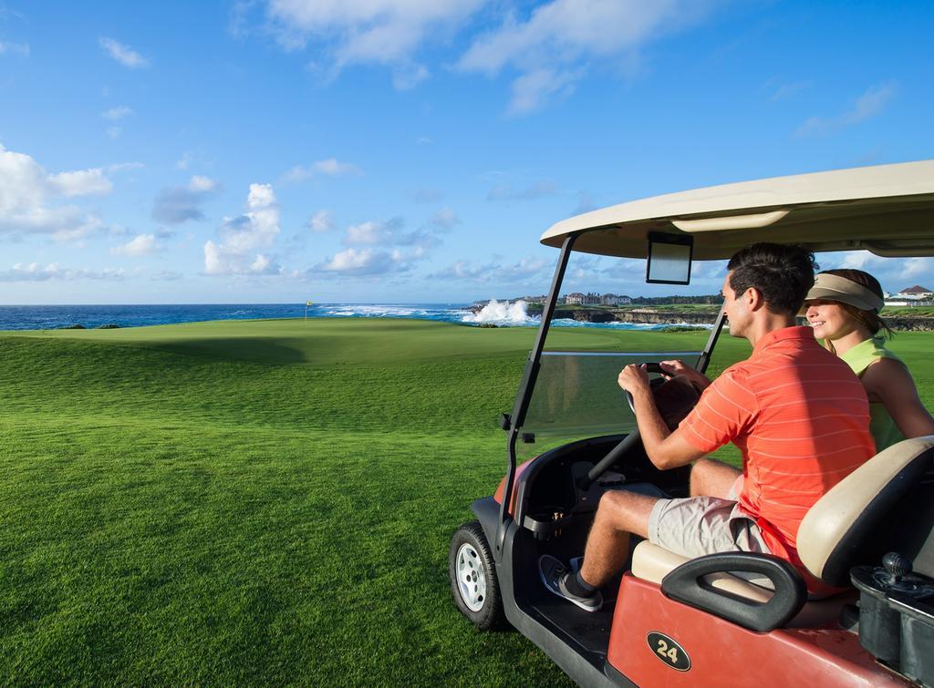 Tortuga Bay 5* Punta Cana