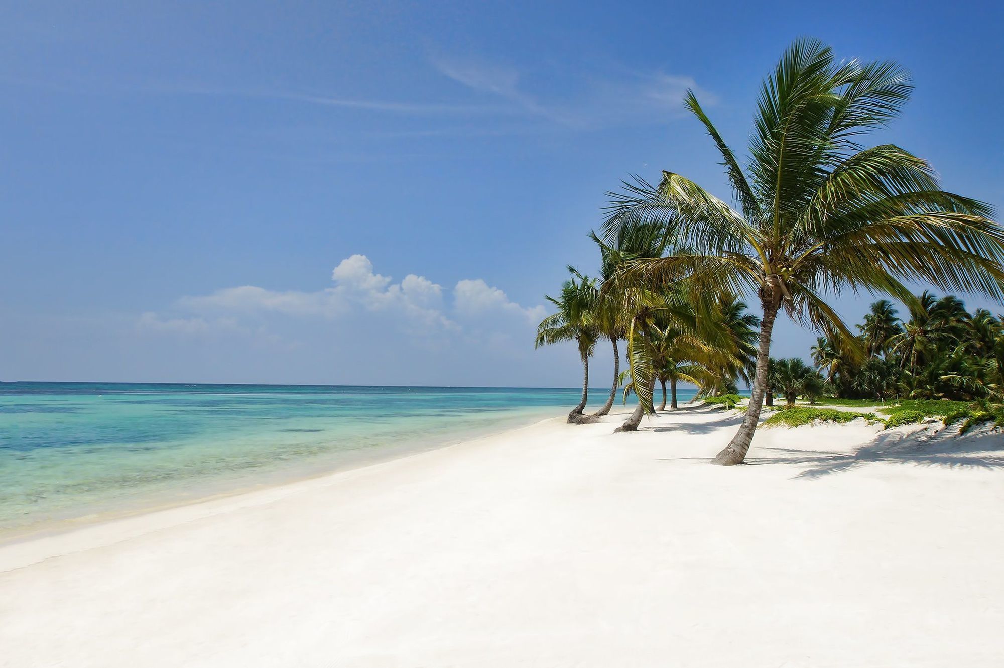 Resort Tortuga Bay