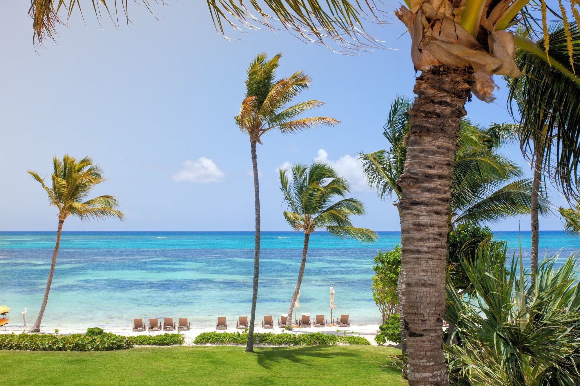 Tortuga Bay Punta Cana